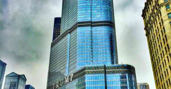 AI绘画二次元猫咪（如何用AI画一只立体的猫）