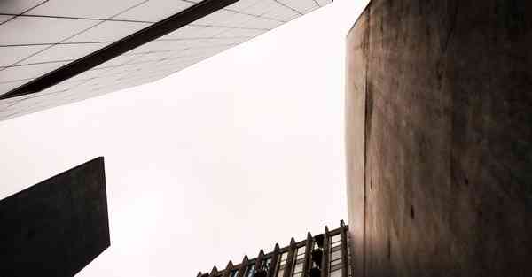 外国语单招大数据的行业文章